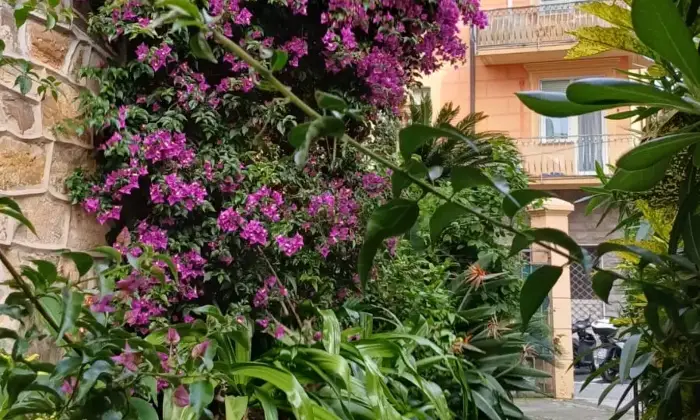 Rexer-Chiavari-Appartamento-in-villa-d-epoca-con-giardino-e-box-Giardino