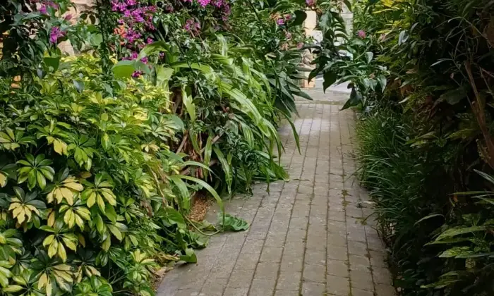 Rexer-Chiavari-Appartamento-in-villa-d-epoca-con-giardino-e-box-Giardino