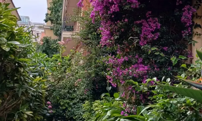 Rexer-Chiavari-Appartamento-in-villa-d-epoca-con-giardino-e-box-Giardino