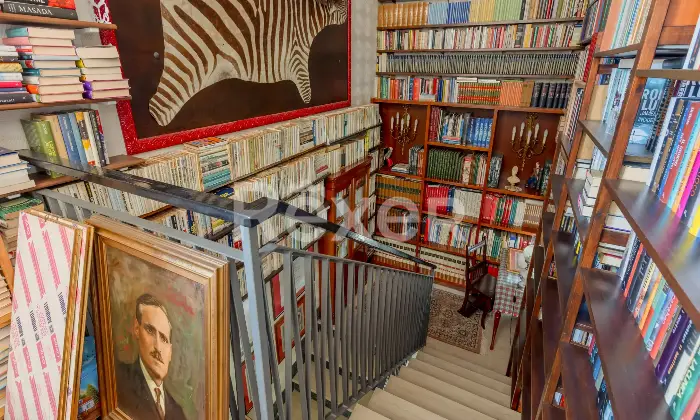 Rexer-Anzio-Prestigiosa-Villa-Indipendente-con-Ampio-Giardino-Altro