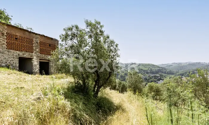 Rexer-Impruneta-Impruneta-Colleramole-Ex-Fienile-con-progetto-approvato-Altro