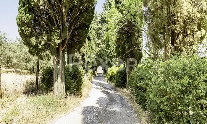 Rexer-Impruneta-Impruneta-Colleramole-Ex-Fienile-con-progetto-approvato-Altro