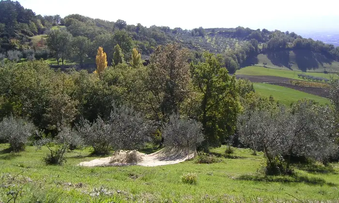 Rexer-Asissi-Antico-casale-da-ristrutturare-Altro