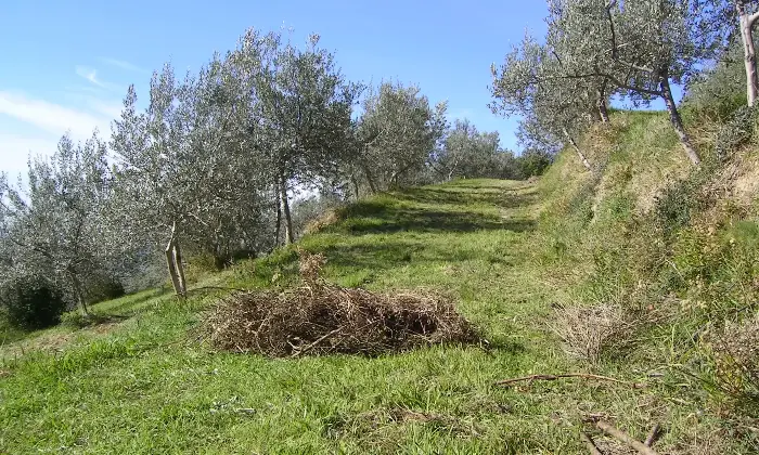 Rexer-Asissi-Antico-casale-da-ristrutturare-Altro