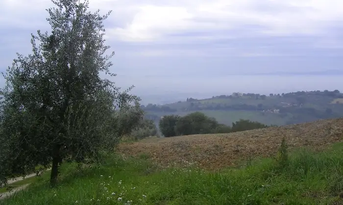 Rexer-Asissi-Antico-casale-da-ristrutturare-Altro