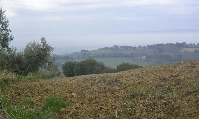 Rexer-Asissi-Antico-casale-da-ristrutturare-Altro