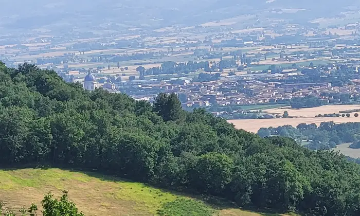 Rexer-Asissi-Antico-casale-da-ristrutturare-Altro