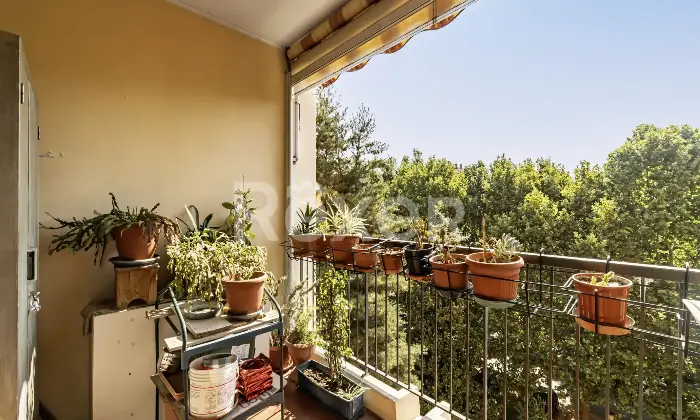 Rexer-Nichelino-ZONA-CASTELLO-PENTALOCALE-PIANO-ALTO-CON-POSTO-AUTO-NUMERATO-Altro