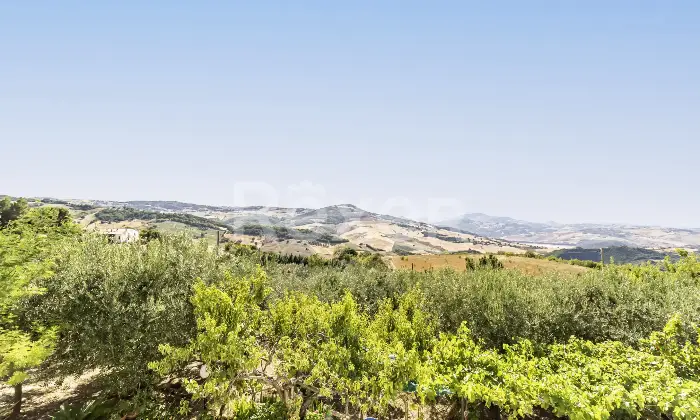 Rexer-larino-Casa-in-collina-zona-Larino-Altro