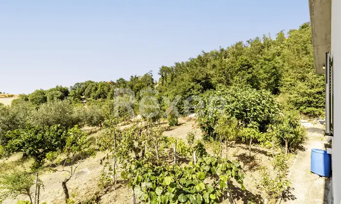 Rexer-larino-Casa-in-collina-zona-Larino-Altro
