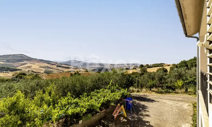 Rexer-larino-Casa-in-collina-zona-Larino-Altro