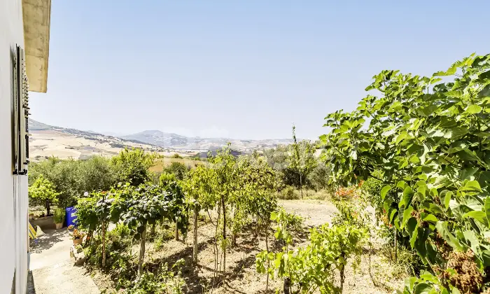 Rexer-larino-Casa-in-collina-zona-Larino-Altro