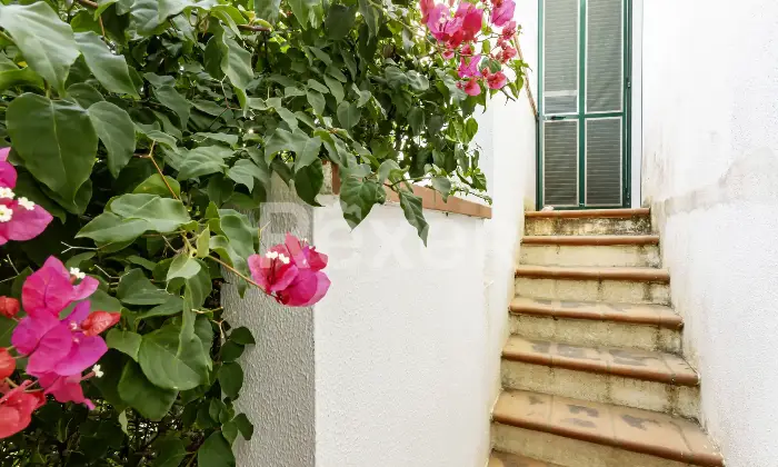 Rexer-Nard-Appartamento-in-villetta-a-schiera-con-giardino-privato-Altro