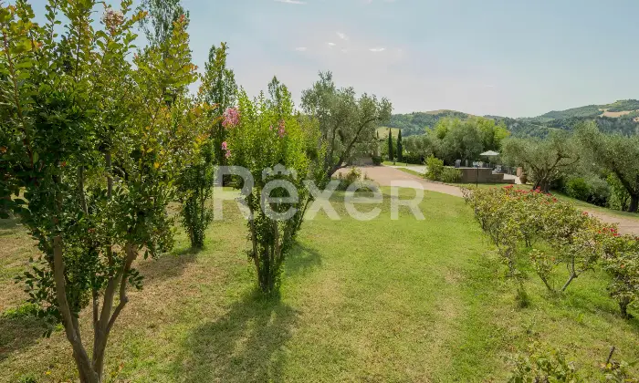 Rexer-Castrocaro-Terme-e-Terra-del-Sole-Villa-di-pregio-con-piscina-e-ettari-di-terreno-Altro