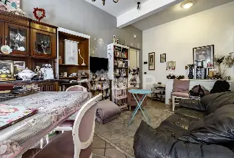 Rexer-Roma-Roma-Torrevecchia-Bilocale-al-piano-terra-Altro