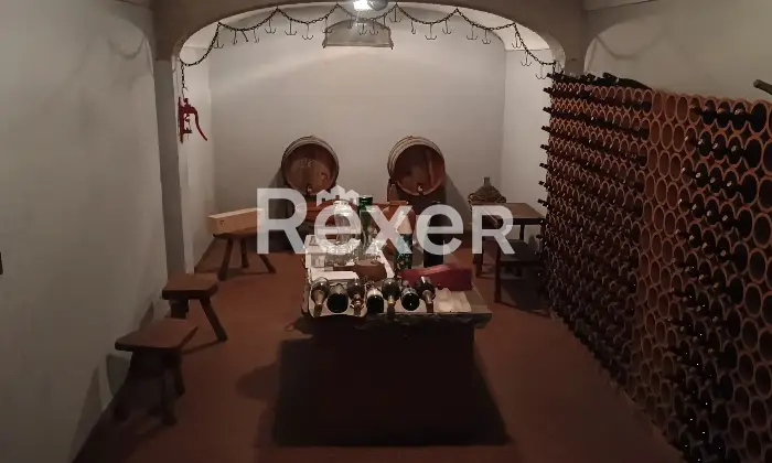 Rexer-Gallarate-Villa-singola-con-piscina-interna-sala-cinema-e-grande-giardino-Altro