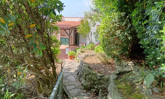 Rexer-Atrigna-Villa-unifamiliare-in-San-Nicola-Arcella-Giardino