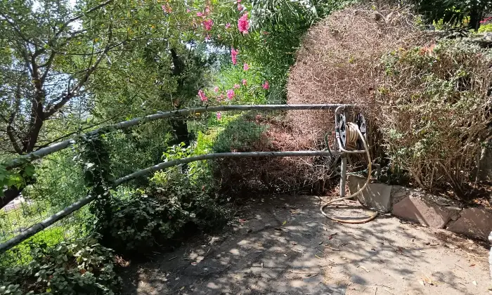 Rexer-Atrigna-Villa-unifamiliare-in-San-Nicola-Arcella-Giardino