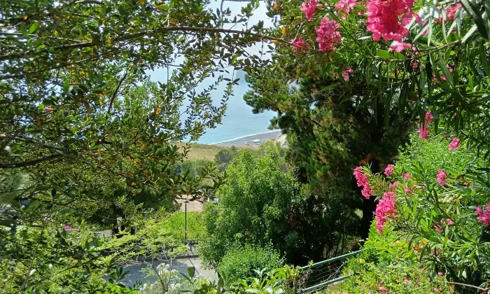Rexer-Atrigna-Villa-unifamiliare-in-San-Nicola-Arcella-Giardino