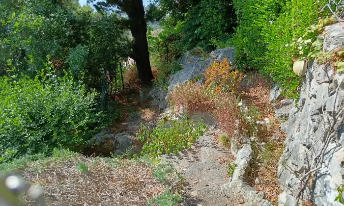 Rexer-Atrigna-Villa-unifamiliare-in-San-Nicola-Arcella-Giardino