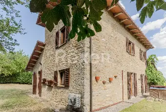 Rexer-Citt-di-Castello-Splendida-villa-panoramica-immersa-nel-verde-delle-colline-umbre-Altro