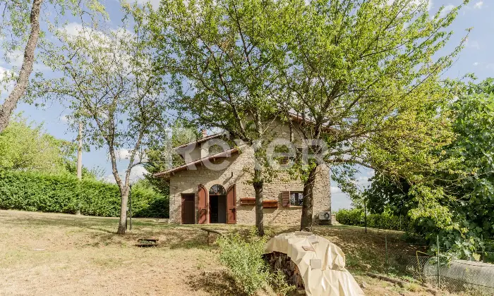 Rexer-Citt-di-Castello-Splendida-villa-panoramica-immersa-nel-verde-delle-colline-umbre-Altro
