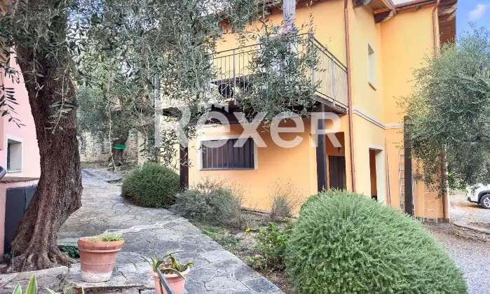 Rexer-Diano-Arentino-IM-Magnifico-BB-con-azienda-agricola-Altro