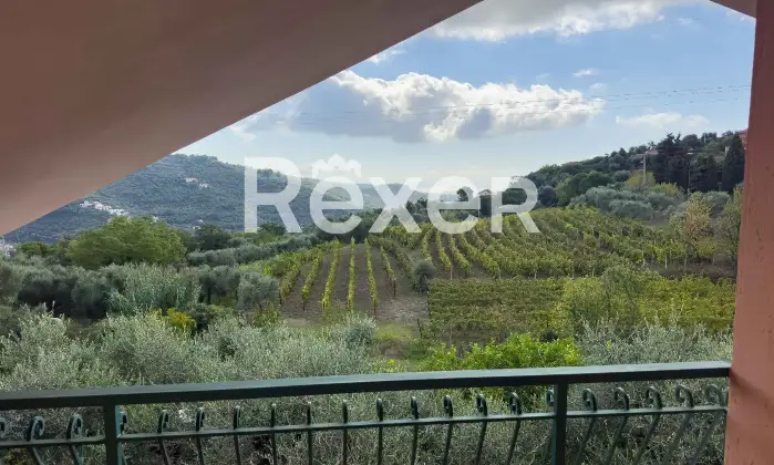 Rexer-Diano-Arentino-IM-Magnifico-BB-con-azienda-agricola-Altro
