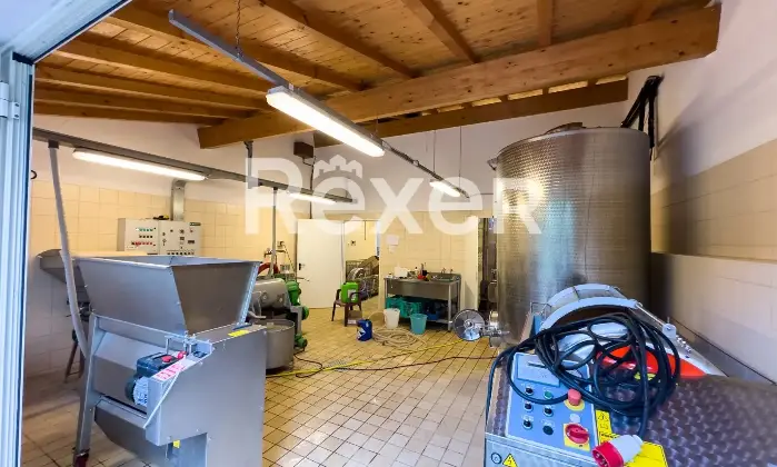 Rexer-Diano-Arentino-IM-Magnifico-BB-con-azienda-agricola-Altro