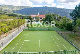 Rexer-Diano-Arentino-IM-Magnifico-BB-con-azienda-agricola-Altro