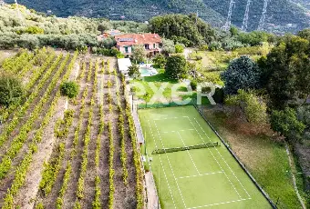 Rexer-Diano-Arentino-IM-Magnifico-BB-con-azienda-agricola-Altro