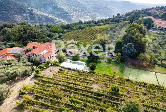 Rexer-Diano-Arentino-IM-Magnifico-BB-con-azienda-agricola-Altro