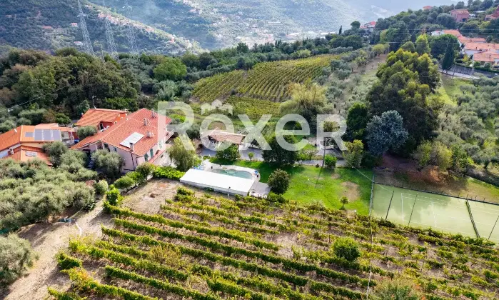 Rexer-Diano-Arentino-IM-Magnifico-BB-con-azienda-agricola-Altro