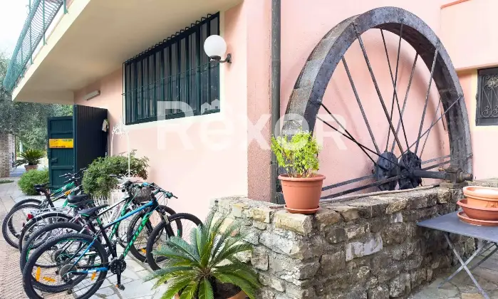 Rexer-Diano-Arentino-IM-Magnifico-BB-con-azienda-agricola-Altro