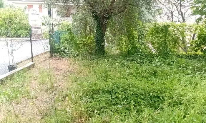 Rexer-Belvedere-Ostrense-Casa-in-vendita-Altro
