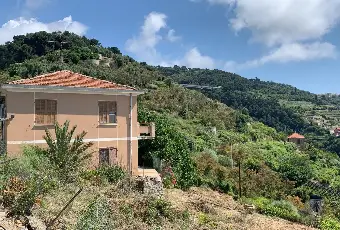 Rexer-Cipressa-Villa-a-Cipressa-Terrazzo