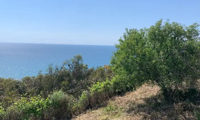 Rexer-Cipressa-Villa-a-Cipressa-Giardino