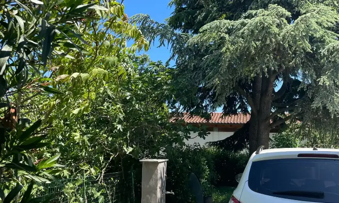 Rexer-Savio-Casa-indipendente-con-ampio-giardino-edificabile-Savio-RA-Altro