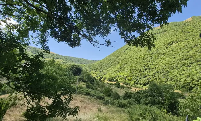 Rexer-Scheggia-e-Pascelupo-Vendesi-immobile-su-tre-livelli-Localit-Campitello-Scheggia-e-Pascelupo-PG-Altro