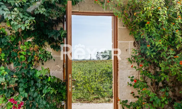 Rexer-Carovigno-Masseria-con-corte-interna-ed-esterna-e-piscina-Altro