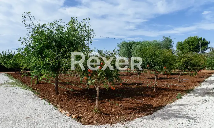 Rexer-Carovigno-Masseria-con-corte-interna-ed-esterna-e-piscina-Altro