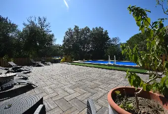 Rexer-Bonalacciafiletto-Villa-Ideale-per-Pi-Nuclei-Familiari-con-Piscina-e-Ampio-Terreno-Via-Filetto-Campo-nellElba-Altro