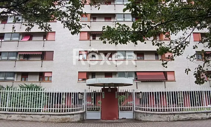 Rexer-Cusano-Milanino-Cusano-Milanino-Vendita-di-trilocali-e-quadrilocali-locati-regolarmente-con-box-di-pertinenza-Altro