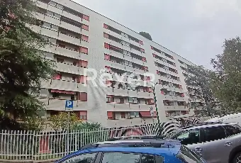 Rexer-Cusano-Milanino-Cusano-Milanino-Vendita-di-trilocali-e-quadrilocali-locati-regolarmente-con-box-di-pertinenza-Altro