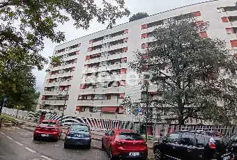 Rexer-Cusano-Milanino-Cusano-Milanino-Vendita-di-trilocali-e-quadrilocali-locati-regolarmente-con-box-di-pertinenza-Altro