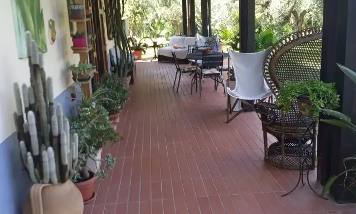 Rexer-Sabaudia-Casale-Ristrutturato-con-Giardino-di-mq-Spazio-Privacy-e-Comfort-a-Sabaudia-Altro