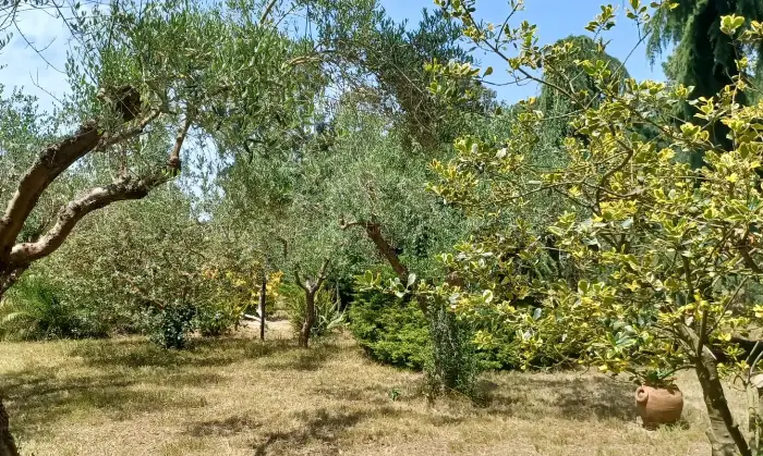 Rexer-Sabaudia-Casale-Ristrutturato-con-Giardino-di-mq-Spazio-Privacy-e-Comfort-a-Sabaudia-Altro