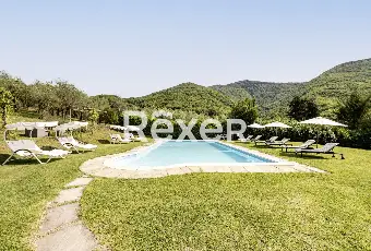 Rexer-Matelica-Tenuta-panoramica-tra-i-vigneti-di-Matelica-ospitalit-natura-e-design-Altro