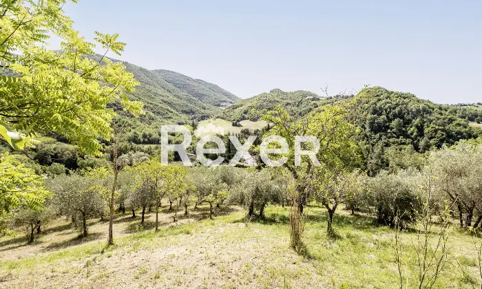 Rexer-Matelica-Tenuta-panoramica-tra-i-vigneti-di-Matelica-ospitalit-natura-e-design-Altro