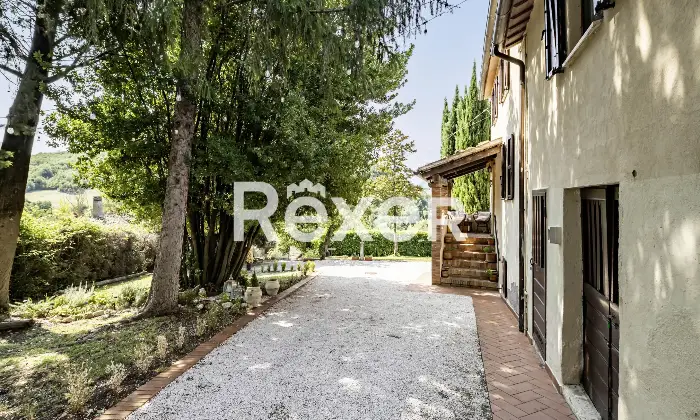 Rexer-Matelica-Tenuta-panoramica-tra-i-vigneti-di-Matelica-ospitalit-natura-e-design-Altro